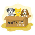 Adopt a Pet: Transform Your Life and Theirs